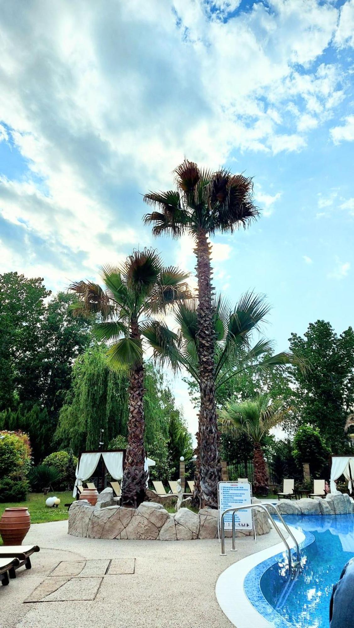 Апартаменты Aphrodite Roce Sunny Beach Exterior foto